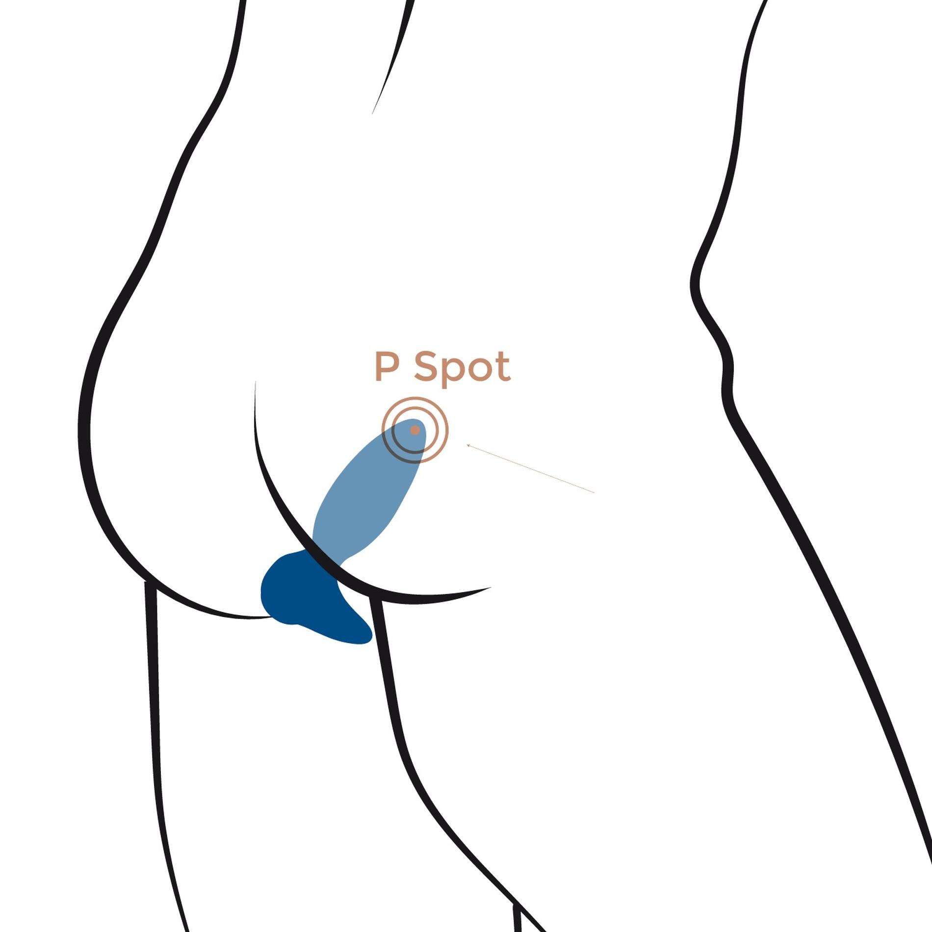 fcbae6b15d420652896bc5d819801fc0